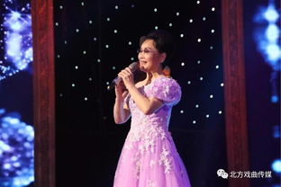 跟戏曲唱的歌曲叫什么来着