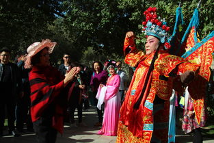 10种戏曲名称分别是什么