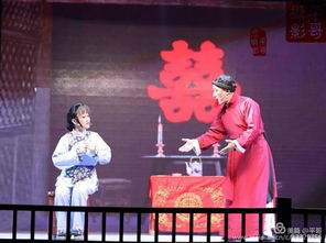 《桃花扇》是哪个种类的戏剧?